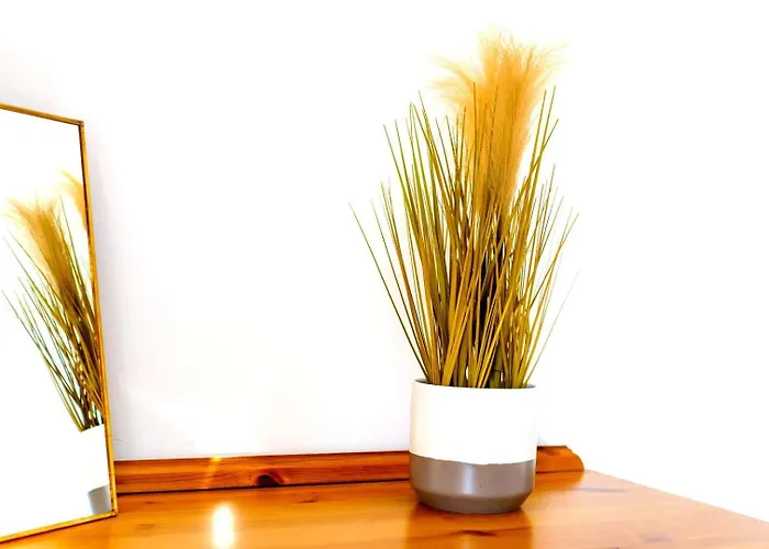 Penzion Spacious 4-bed | Wifi | Parking | Workspace 4*